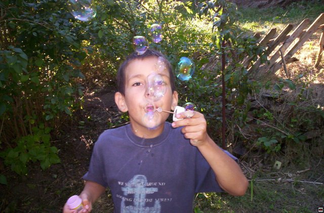 img00005.jpg