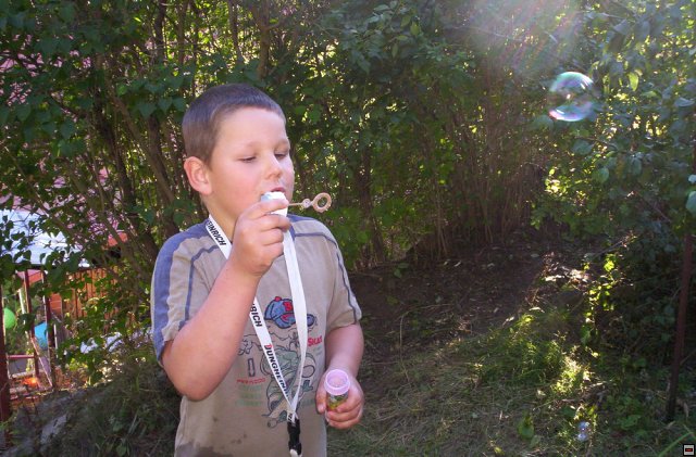 img00006.jpg