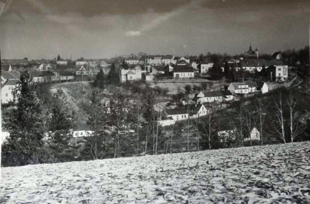 img00011.jpg
